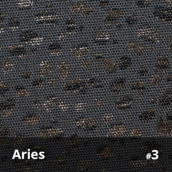 Aries 3